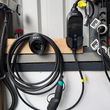 Orchidee Винтерберг