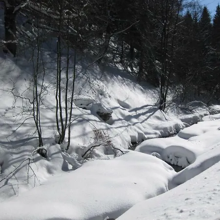 Orchidee * Winterberg