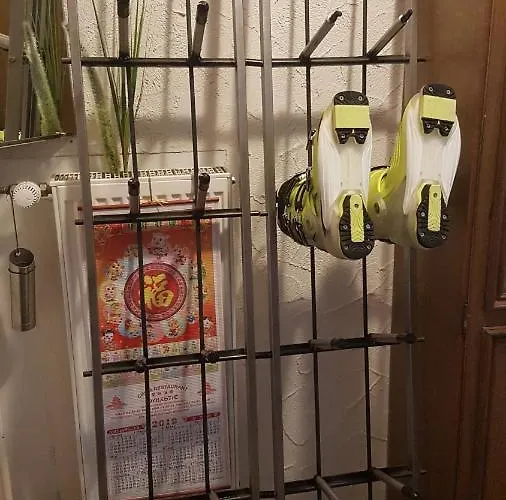 Orchidee * Winterberg