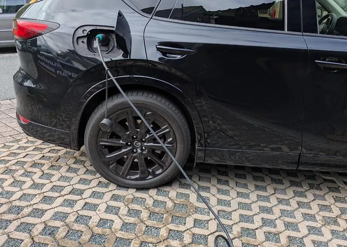 Appartement Orchidee